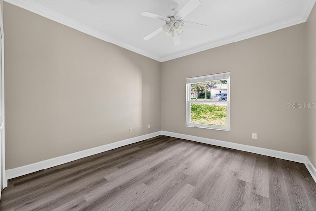 908 Hilly Bend Dr, Apopka, FL 32712 - photo 37