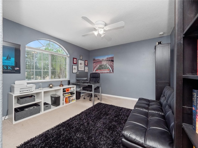 2454 Black Lake Blvd, Winter Garden, FL 34787 - office space featuring a ceiling fan and carpet flooring