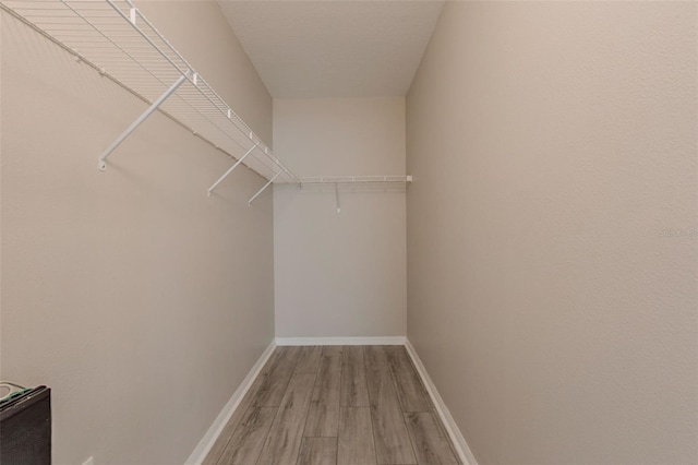 12104 Fawn Brindle St, Riverview, FL 33578 - walk in closet featuring light wood finished floors