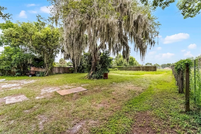 770 W Webster Ave, Winter Park, FL 32789 - view of fenced backyard