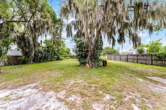 770 W Webster Ave, Winter Park, FL 32789 - view of yard