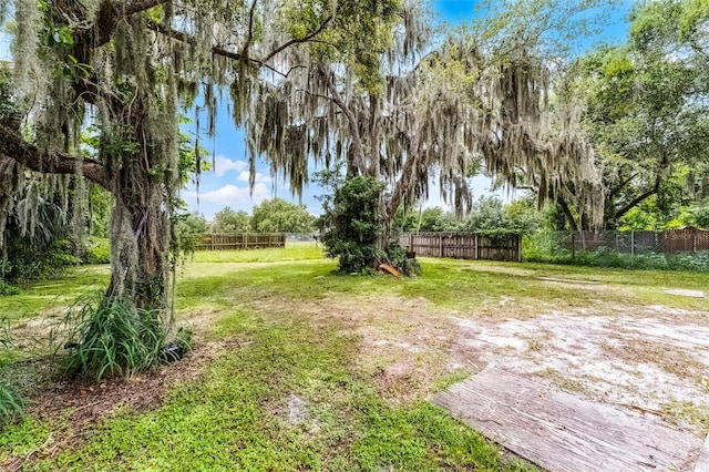 770 W Webster Ave, Winter Park, FL 32789 - view of yard