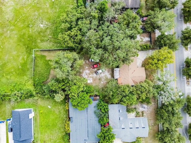 770 W Webster Ave, Winter Park, FL 32789 - drone / aerial view