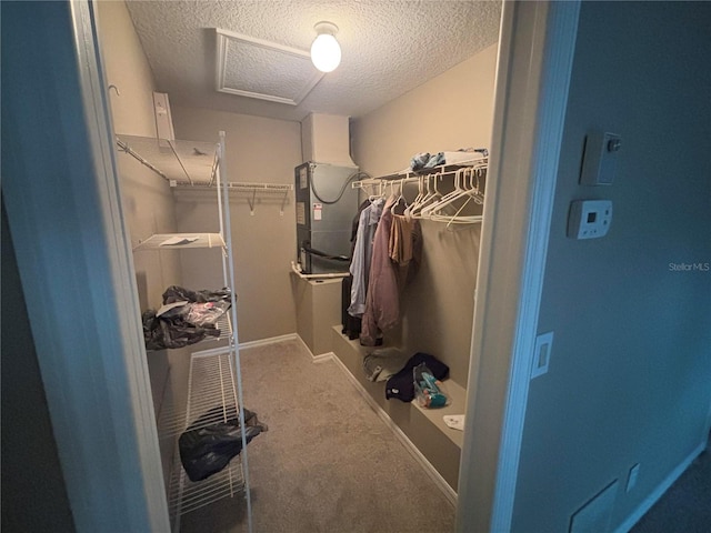 131 49th Ct E, Palmetto, FL 34221 - walk in closet with carpet and heating unit