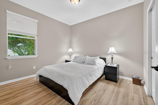 30120 Hackney Loop, Mount Dora, FL 32757 - bedroom featuring baseboards and light wood-style flooring