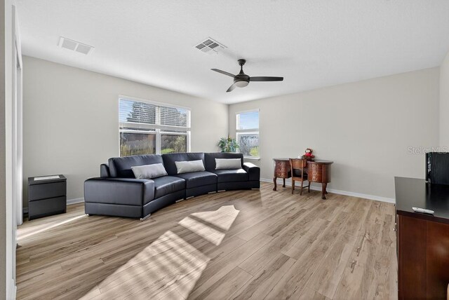 30120 Hackney Loop, Mount Dora, FL 32757 - living area featuring ceiling fan and light wood-style floors