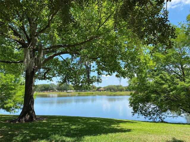 1709 Shady Ridge Ct Unit 243, Orlando, FL 32807 - water view