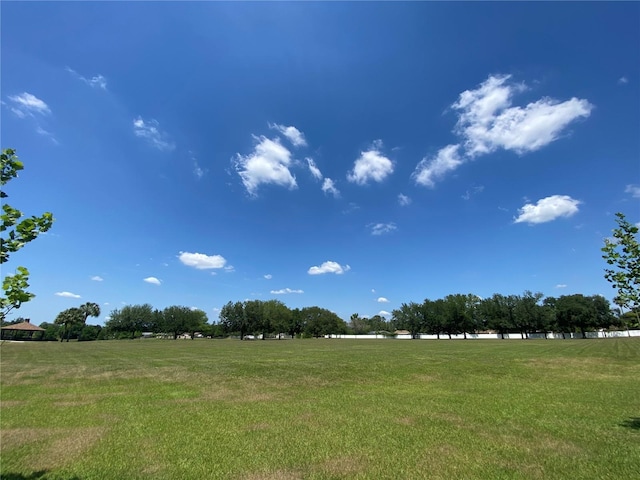 1709 Shady Ridge Ct Unit 243, Orlando, FL 32807 - view of green lawn