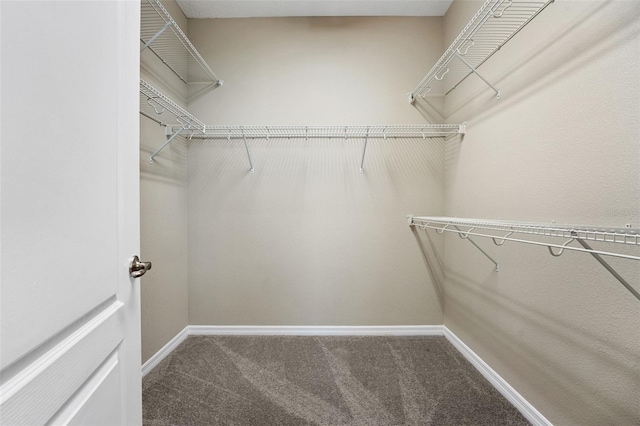 7540 Bishop Square Dr, Winter Garden, FL 34787 - walk in closet featuring carpet flooring