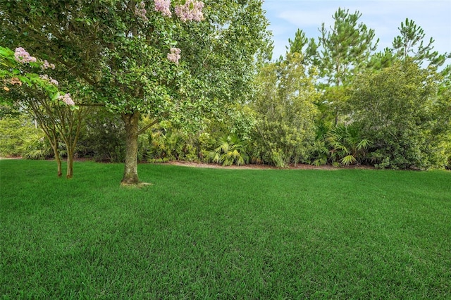 7540 Bishop Square Dr, Winter Garden, FL 34787 - view of green lawn