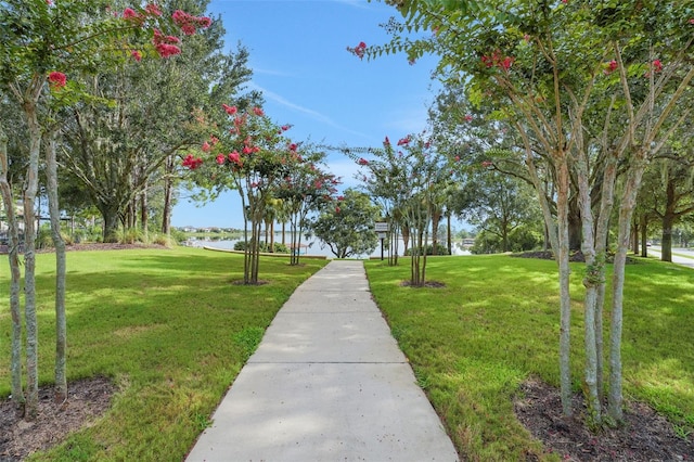 7540 Bishop Square Dr, Winter Garden, FL 34787 - surrounding community with a lawn and a water view