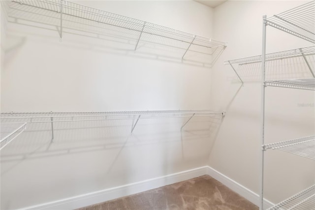 17461 Back Bay Ct, Clermont, FL 34714 - walk in closet with carpet flooring