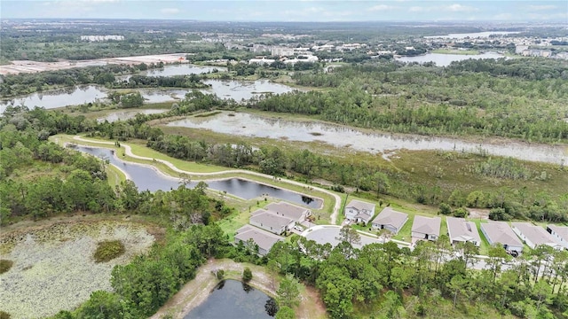 17461 Back Bay Ct, Clermont, FL 34714 - aerial view of property and surrounding area with a large body of water and nearby suburban area