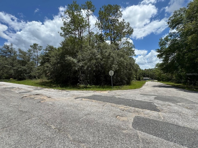 1985 W Rolling Pl, Dunnellon, FL 34434 - photo 3