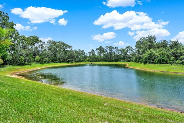 2912 Sanctuary Dr, Clermont, FL 34714 - water view