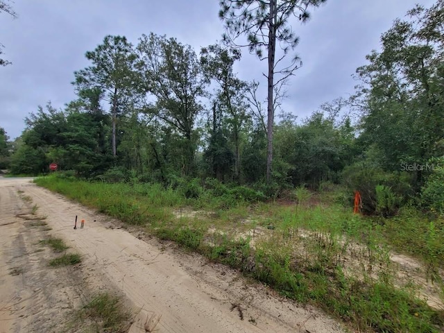 0 NE 120th St, Bronson, FL 32621 - photo 2