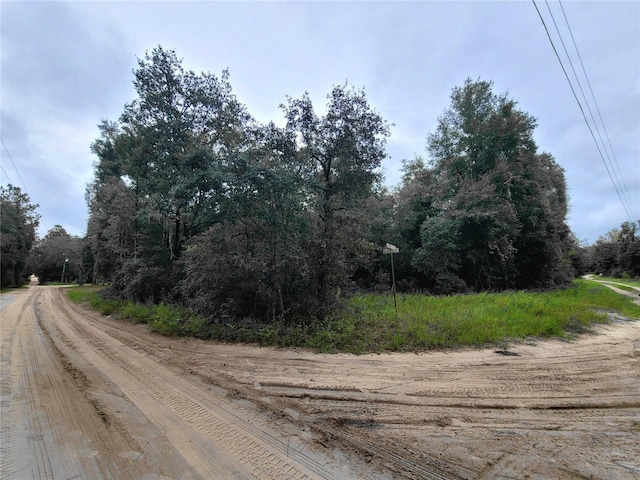 0 NE 120th St, Bronson, FL 32621 - photo 3