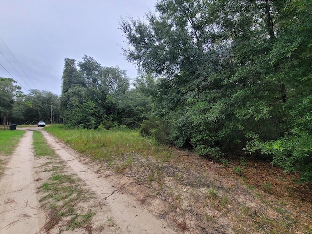 0 NE 120th St, Bronson, FL 32621 - photo 4