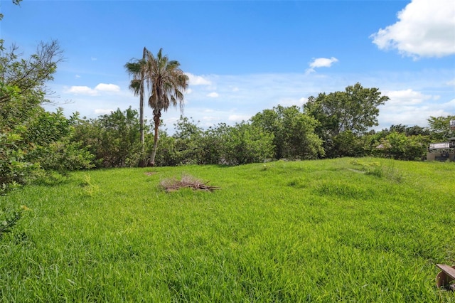 4505 Cottonwood Dr, New Port Richey, FL 34652 - view of yard