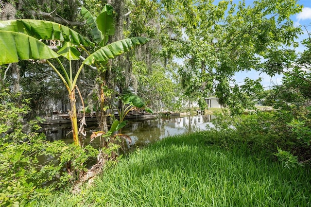 4505 Cottonwood Dr, New Port Richey, FL 34652 - water view
