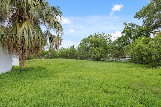 4505 Cottonwood Dr, New Port Richey, FL 34652 - view of green lawn