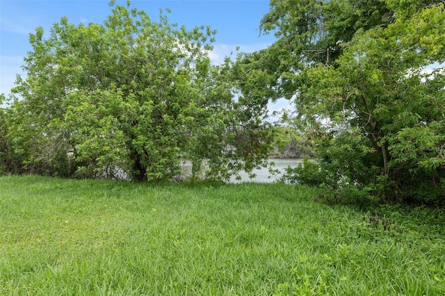 4505 Cottonwood Dr, New Port Richey, FL 34652 - view of yard featuring a water view