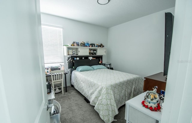 4152 Pino St, Apopka, FL 32712 - bedroom with multiple windows and carpet