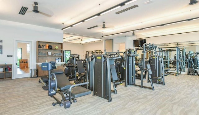 858 Arbor Green Trl, Saint Cloud, FL 34771 - workout area featuring carpet and ceiling fan
