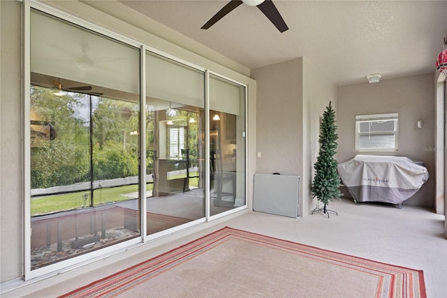 1923 Banning Beach Rd, Tavares, FL 32778 - photo 31