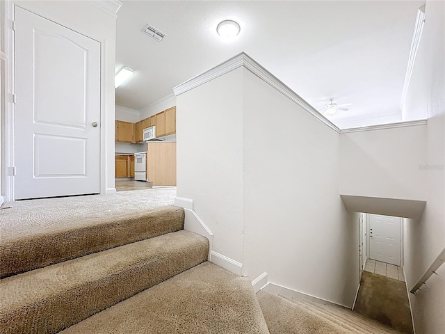 8801 Villa View Cir Unit 202, Orlando, FL 32821 - photo 25