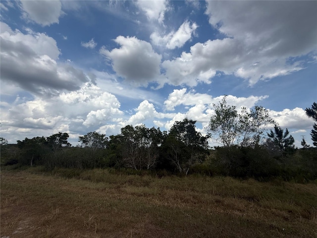 1565 S Reed Rd, Avon Park, FL 33825 - photo 2