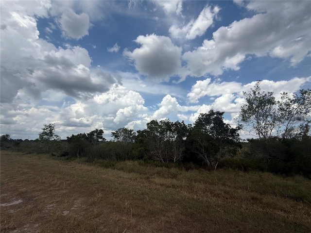 1565 S Reed Rd, Avon Park, FL 33825 - photo 4
