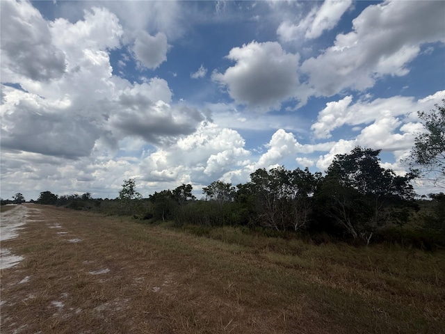 1565 S Reed Rd, Avon Park, FL 33825 - photo 5