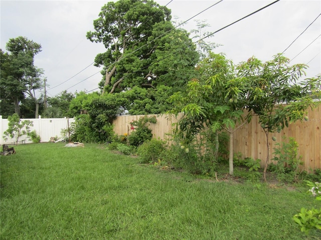 5010 Shoshone St, Orlando, FL 32819 - view of fenced backyard