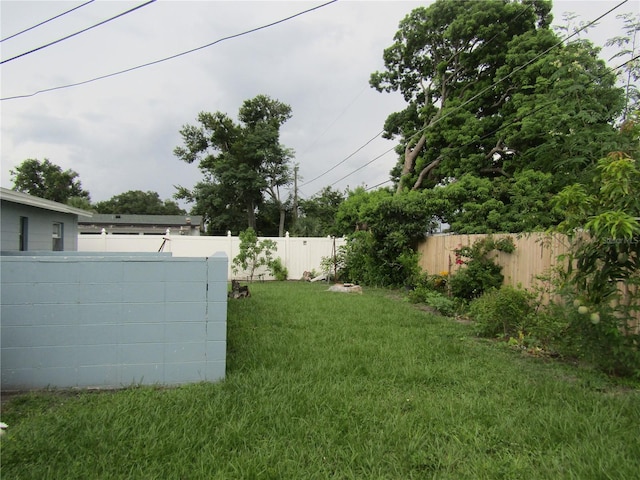 5010 Shoshone St, Orlando, FL 32819 - view of yard