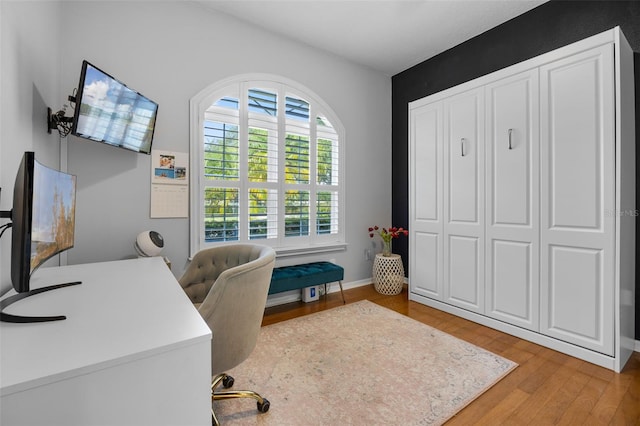 5141 Autumn Ridge Ln, Windermere, FL 34786 - office space featuring light wood-style floors and baseboards