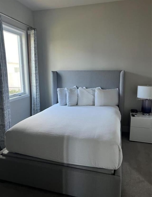 7740 Sandy Ridge Dr Unit 102, Reunion, FL 34747 - view of carpeted bedroom