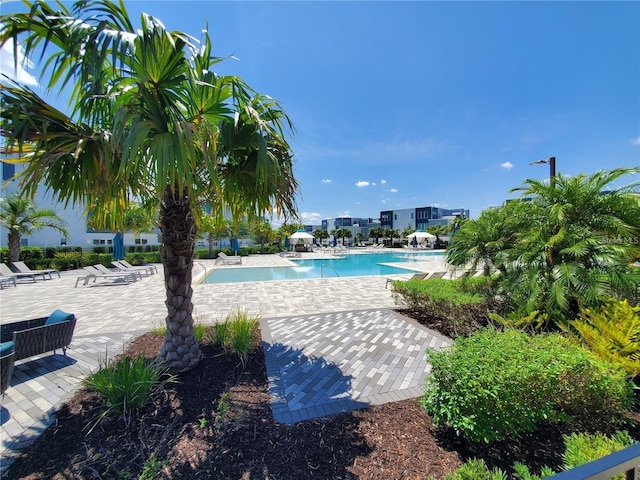 7740 Sandy Ridge Dr Unit 102, Reunion, FL 34747 - community pool featuring a patio area