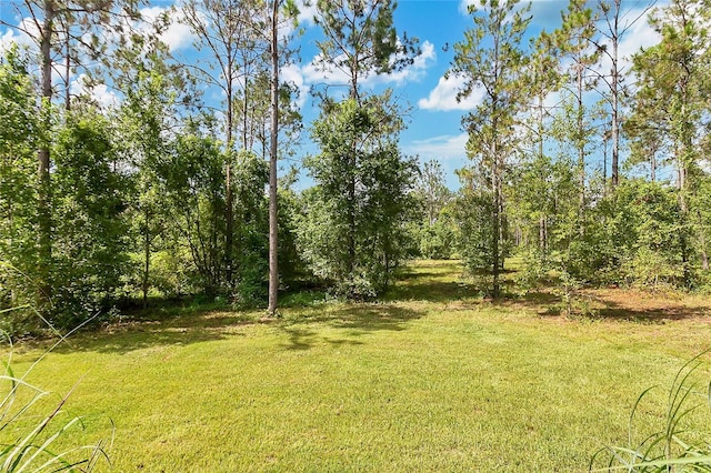4450 Empire Church Rd, Groveland, FL 34736 - photo 31