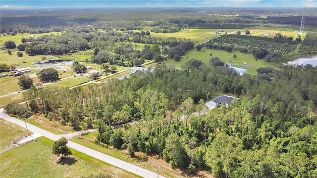 4450 Empire Church Rd, Groveland, FL 34736 - photo 48