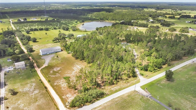 4450 Empire Church Rd, Groveland, FL 34736 - photo 49