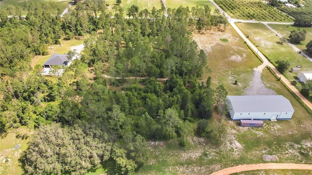 4450 Empire Church Rd, Groveland, FL 34736 - photo 50