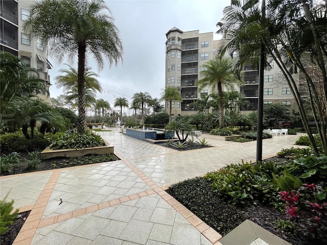 14501 Grove Resort Ave Unit 2436, Winter Garden, FL 34787 - photo 41