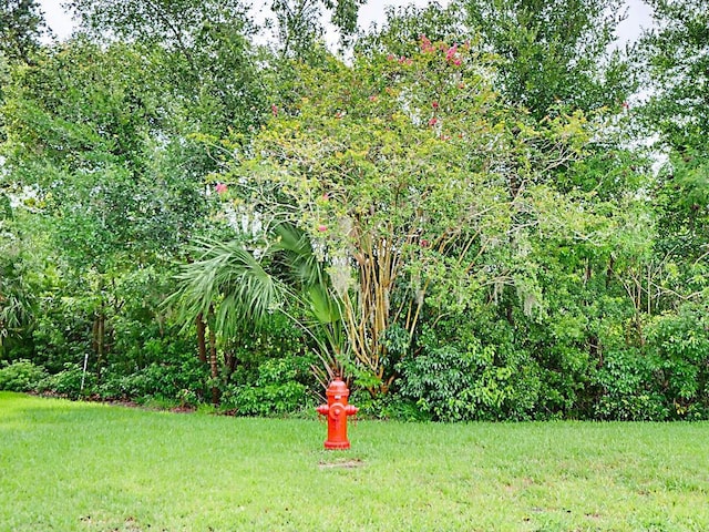 4729 Heron Run Cir, Leesburg, FL 34748 - photo 4