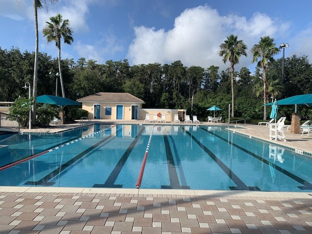8804 Warwick Shore Xing Unit X, Orlando, FL 32829 - community pool featuring a patio area and view of scattered trees