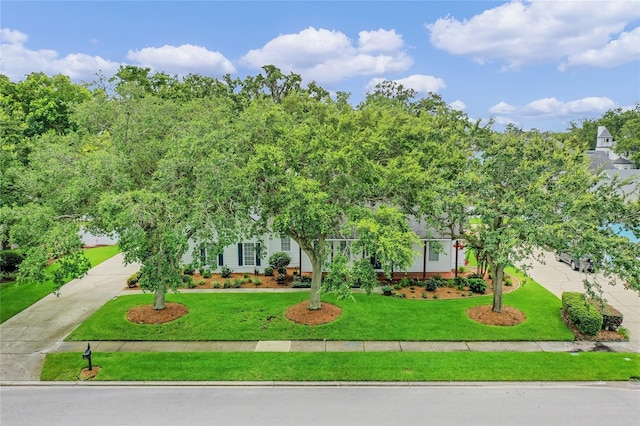 403 Courtlea Creek Dr, Winter Garden, FL 34787 - obstructed view of property with driveway and a front yard