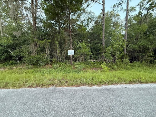 905 E Hillsborough, Florahome, FL 32140