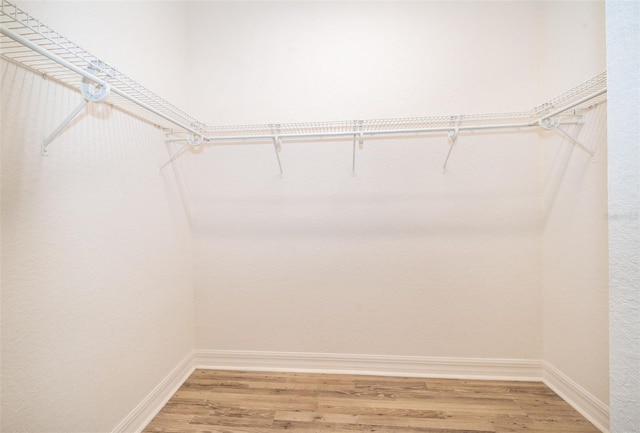 2258 Rickover Pl, Winter Garden, FL 34787 - spacious closet featuring light wood finished floors