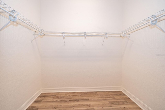 2258 Rickover Pl, Winter Garden, FL 34787 - walk in closet featuring light wood finished floors