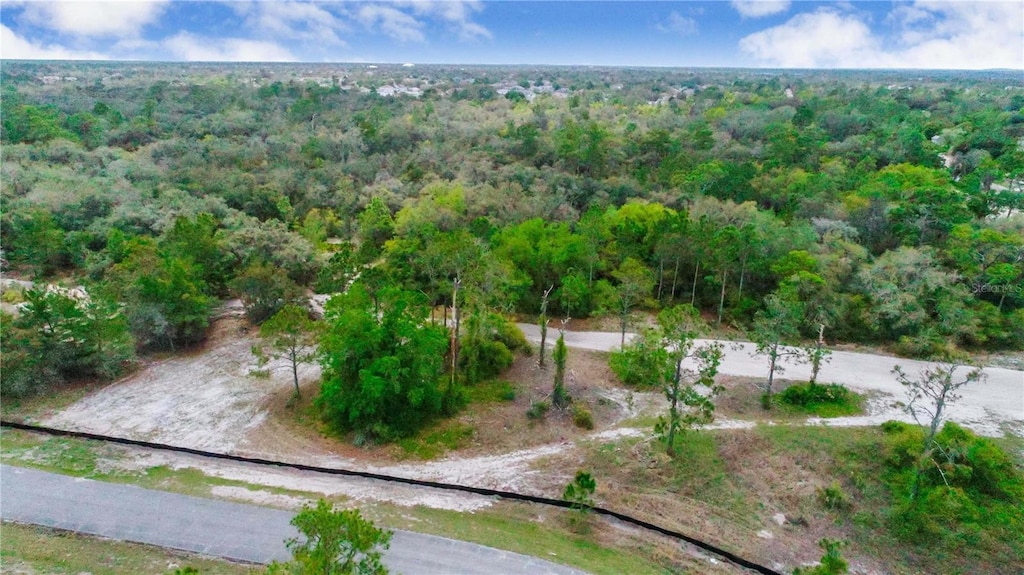 403 Rainbow Ct, Kissimmee, FL 34759 - photo 1